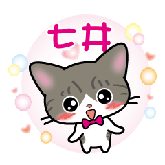 nanai's name silver tabby and white cat