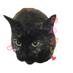 meg_20190907102038
