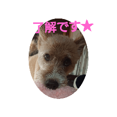 mina_20190907160944