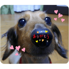mori_20190907172503