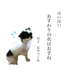 Akane_20190907165339