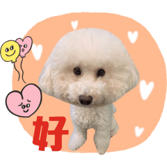 ㄍ ㄇ 的小日子