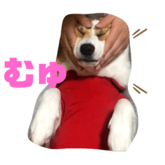 chiro_20190907211305