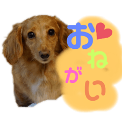 chococo_20190907211452