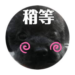 我的名字叫麻吉