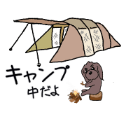 olive_20190907220315