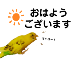 Inko no rikichan Keigo – LINE stickers | LINE STORE