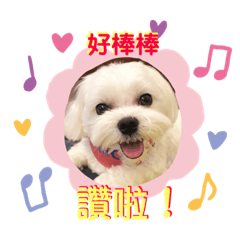 Q比公主的奇幻樂園（趴兔）