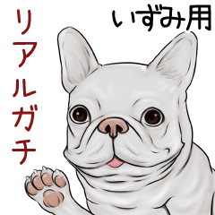 Izumi Real Gachi Pug & Bulldog