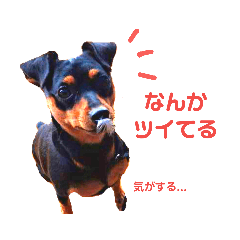 LUFT