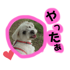 miyuki_20190908085110