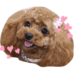 rinrin_20190908044449