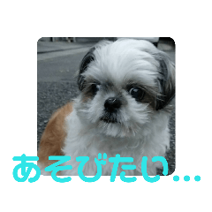 kanae_20190908012755
