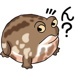 I love frogs! Part8