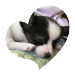 sally_20190908111618