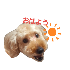 miyuu_20190908113010