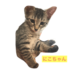 NANAMI_20190908113316