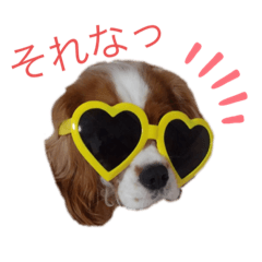 KOTA_20190908182234