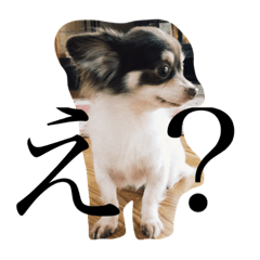 Hannah_20190905111754