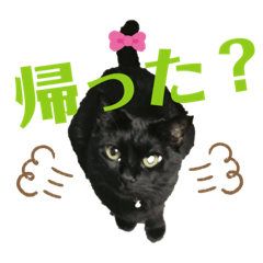 jiji_20190908184926