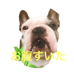 KYOKO_20190908190228