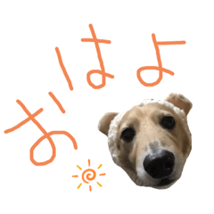 yuta_20190908190213