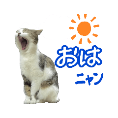 mamedaifuku_20190908190840
