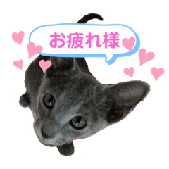 wasabimaru