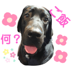 omochi_20190908203252