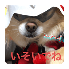 MOKA_20190908221542