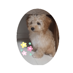 kuu_20190909003223