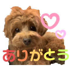 minami_20190909003444