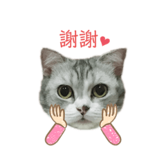 我的樂寶