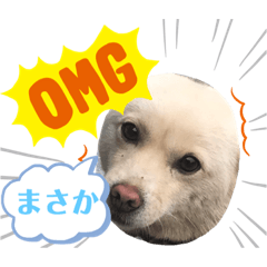 KEN_20190909094201