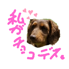 tonton_20190908212238