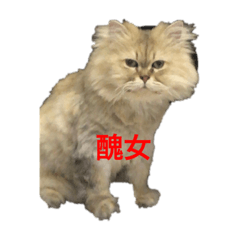 快樂小魚魚