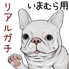Imamura Real Gachi Pug & Bulldog