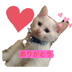 mu-ta
