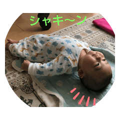 mako_20190909110738