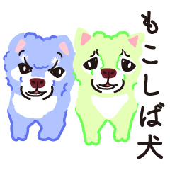 Moko-shiba dogs