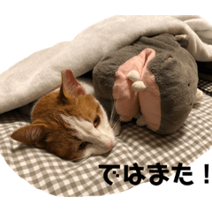 meg_20190909093819