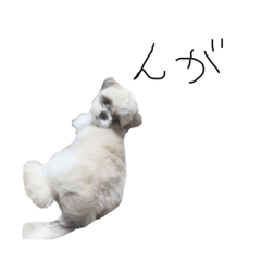 YAMADA_20190909010142