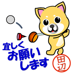 Dog called Tanabe which plays golf