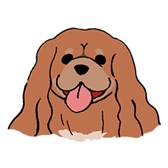 Cork-colored dog