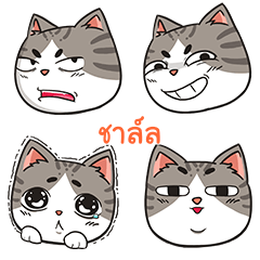 CHARL trollcat emoji