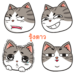 RUNGDAO trollcat emoji