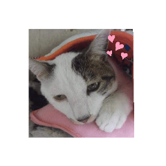 kazue_20190909173756