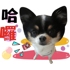 女丑 女丑 的 日 常