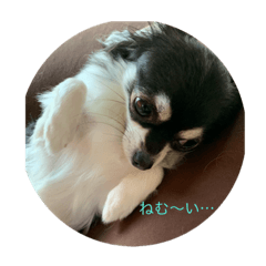 asuka_20190909191455