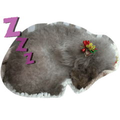 Arisa_20190909202403